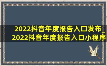 2022抖音年度报告入口发布_2022抖音年度报告入口小程序