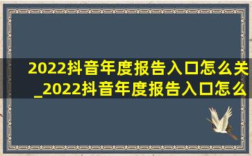 2022抖音年度报告入口怎么关_2022抖音年度报告入口怎么关闭