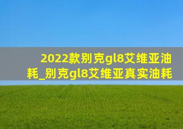 2022款别克gl8艾维亚油耗_别克gl8艾维亚真实油耗