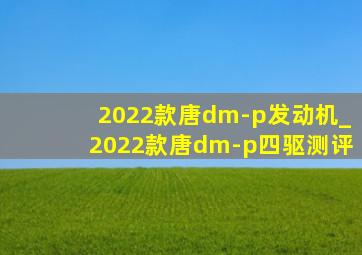 2022款唐dm-p发动机_2022款唐dm-p四驱测评