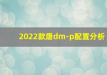 2022款唐dm-p配置分析