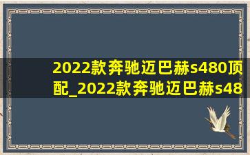 2022款奔驰迈巴赫s480顶配_2022款奔驰迈巴赫s480试驾视频