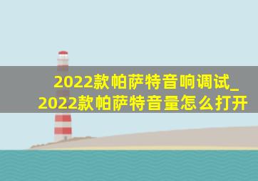 2022款帕萨特音响调试_2022款帕萨特音量怎么打开