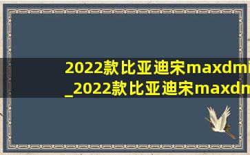 2022款比亚迪宋maxdmi_2022款比亚迪宋maxdmi车顶行李箱