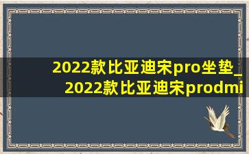 2022款比亚迪宋pro坐垫_2022款比亚迪宋prodmi落地价