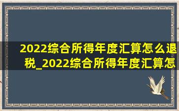 2022综合所得年度汇算怎么退税_2022综合所得年度汇算怎么操作