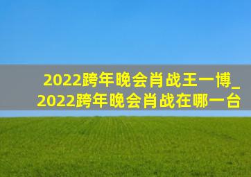 2022跨年晚会肖战王一博_2022跨年晚会肖战在哪一台