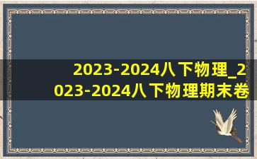 2023-2024八下物理_2023-2024八下物理期末卷子