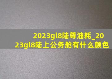 2023gl8陆尊油耗_2023gl8陆上公务舱有什么颜色