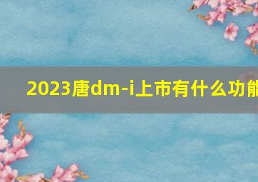 2023唐dm-i上市有什么功能