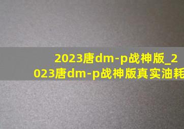 2023唐dm-p战神版_2023唐dm-p战神版真实油耗