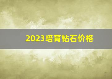 2023培育钻石价格