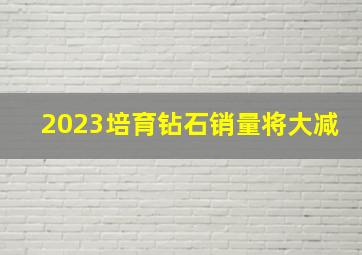 2023培育钻石销量将大减