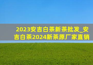 2023安吉白茶新茶批发_安吉白茶2024新茶原厂家直销