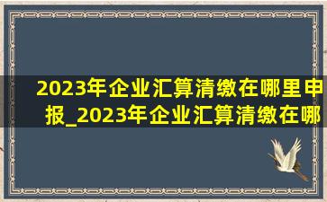 2023年企业汇算清缴在哪里申报_2023年企业汇算清缴在哪里