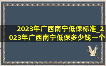 2023年广西南宁低保标准_2023年广西南宁低保多少钱一个月