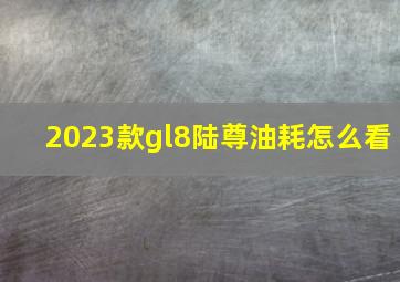 2023款gl8陆尊油耗怎么看