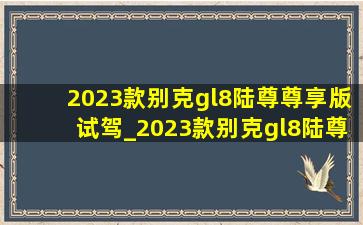 2023款别克gl8陆尊尊享版试驾_2023款别克gl8陆尊尊享版按键说明