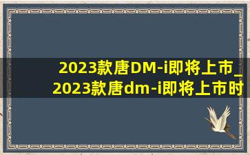 2023款唐DM-i即将上市_2023款唐dm-i即将上市时间