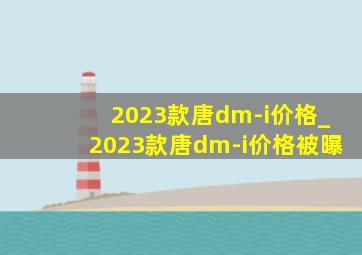 2023款唐dm-i价格_2023款唐dm-i价格被曝