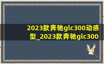 2023款奔驰glc300动感型_2023款奔驰glc300动感型试驾