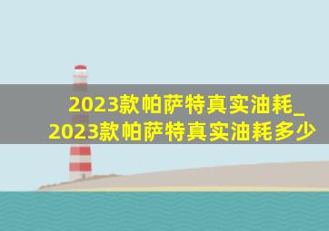 2023款帕萨特真实油耗_2023款帕萨特真实油耗多少