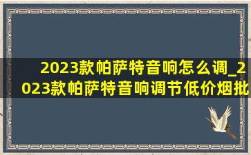 2023款帕萨特音响怎么调_2023款帕萨特音响调节(低价烟批发网)效果