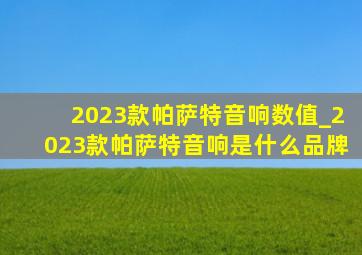 2023款帕萨特音响数值_2023款帕萨特音响是什么品牌