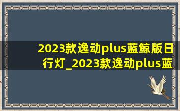 2023款逸动plus蓝鲸版日行灯_2023款逸动plus蓝鲸版油耗