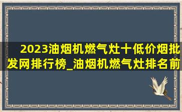 2023油烟机燃气灶十(低价烟批发网)排行榜_油烟机燃气灶排名前十名的品牌