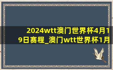 2024wtt澳门世界杯4月19日赛程_澳门wtt世界杯1月19日赛程