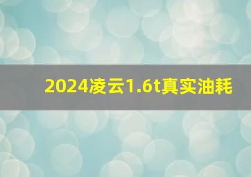 2024凌云1.6t真实油耗