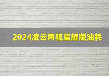 2024凌云两驱星耀版油耗