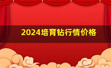 2024培育钻行情价格