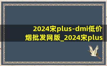 2024宋plus-dmi(低价烟批发网)版_2024宋plus-dmi(低价烟批发网)版落地价