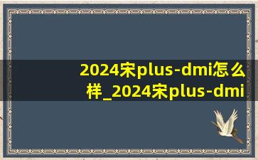 2024宋plus-dmi怎么样_2024宋plus-dmi荣耀版车内按键