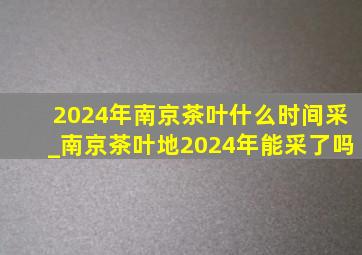 2024年南京茶叶什么时间采_南京茶叶地2024年能采了吗