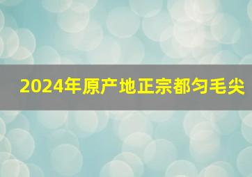 2024年原产地正宗都匀毛尖