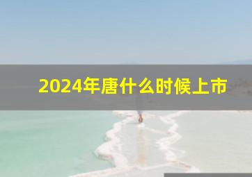 2024年唐什么时候上市