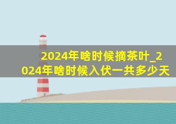 2024年啥时候摘茶叶_2024年啥时候入伏一共多少天