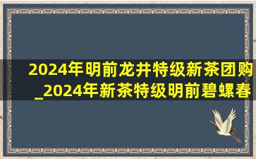 2024年明前龙井特级新茶团购_2024年新茶特级明前碧螺春