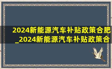 2024新能源汽车补贴政策合肥_2024新能源汽车补贴政策合肥肥东