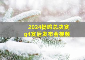 2024杨鸣总决赛g4赛后发布会视频