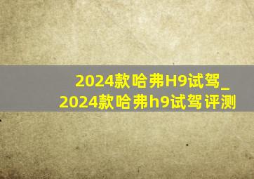 2024款哈弗H9试驾_2024款哈弗h9试驾评测