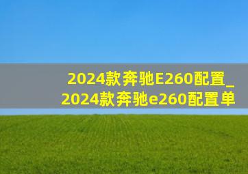 2024款奔驰E260配置_2024款奔驰e260配置单