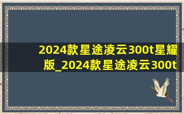 2024款星途凌云300t星耀版_2024款星途凌云300t星耀版测试视频