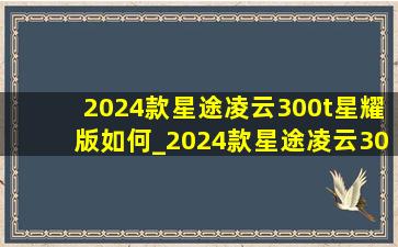 2024款星途凌云300t星耀版如何_2024款星途凌云300t星耀版钥匙