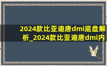 2024款比亚迪唐dmi底盘解析_2024款比亚迪唐dmi内存卡