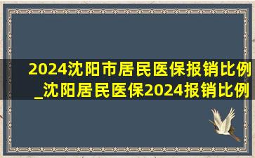 2024沈阳市居民医保报销比例_沈阳居民医保2024报销比例