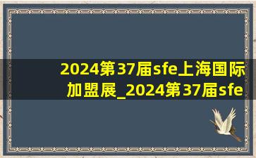 2024第37届sfe上海国际加盟展_2024第37届sfe上海国际加盟展品牌